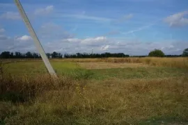 Кат. 454 Земельный участок 10 с