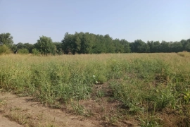 Кат. № 465 Земельный участок общей площадью 10 соток 
Цена 300 000 рублей 